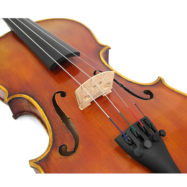 D'Luca Strauss 500 Symphony Violin 4/4 with SKB Molded Case, Strings and  Tuner