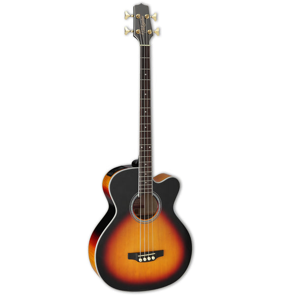 Takamine GB72CE Acoustic Electric Bass Guitar, Gloss Brown Sunburst –  PlayMusic123.com