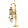 Bach 181ML Stradivarius Bb Cornet Lacquer