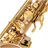 Yanagisawa TWO20 Tenor Saxophone Bronze