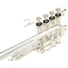 Bach AP190S Stradivarius Artisan A/Bb Piccolo Silver Plated