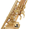 Yanagisawa TWO2 Tenor Saxophone Bronze