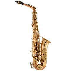 Selmer SAS511C Intermediate Eb Alto Saxophone Black Nickel Plated