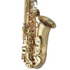 Yanagisawa AW01UL Professional Alto Saxophone Unlaquered