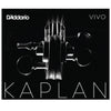 D'Addario Kaplan Vivo Violin String Set, 1/2 Scale, Medium Tension