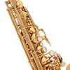 Yanagisawa AW020 Elite Alto Saxophone Bronze