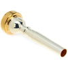 Bach Classic Silver Plated Trumpet Mouthpiece with Gold-plated Rim 6C