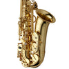 Yanagisawa AW01 Professional Alto Saxophone Yellow Brass