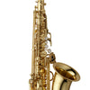 Yanagisawa AW01 Professional Alto Saxophone Yellow Brass