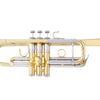 Bach C190L229 Stradivarius Professional C Trumpet Lacquer