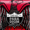 Ernie Ball Burly Slinky Paradigm Electric Guitar Strings 11-52 Gauge