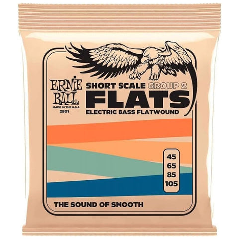 Ernie Ball Stainless Steel Flatwound Short Scale Electric Bass Strings 45-105