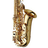 Yanagisawa AW010UL Elite Alto Saxophone Unlaquered