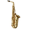 Yanagisawa AW01 Professional Alto Saxophone Yellow Brass