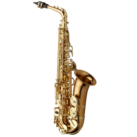 Yanagisawa AW02 Professional Alto Saxophone Bronze