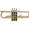 Bach 17043GYR Apollo Reverse Leadpipe Bb Trumpet Lacquer