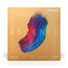 D'Addario Ascenté Violin String Set, 1/2 Scale, Medium Tension