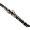 Selmer Paris Signature Evolution Soprano A Clarinet