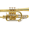 Bach 181L Stradivarius Bb Cornet Lacquer