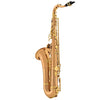 Yanagisawa TWO20 Tenor Saxophone Bronze