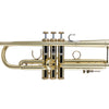 Bach 190M37X Stradivarius Professional Bb Trumpet Lacquer