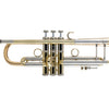 Bach 190L65GV Stradivarius Vindabona Professional Bb Trumpet Lacquer