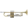 King KTR201 Bb Trumpet Lacquer