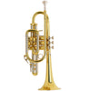 Bach 181L Stradivarius Bb Cornet Lacquer