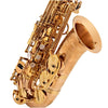 Yanagisawa AWO20UL Elite Alto Saxophone Unlaquered