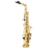 Selmer Paris 52AXOS 52 Axos Professional Alto Saxophone