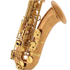 Yanagisawa TWO20 Tenor Saxophone Bronze