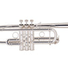 Bach C180SL229CC Stradivarius C Trumpet