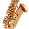 Yanagisawa AW020 Elite Alto Saxophone Bronze