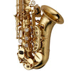 Yanagisawa SCWO10 Curved Soprano Saxophone Yellow Brass