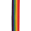 D'Addario Auto Lock Polypro Guitar Strap, Rainbow